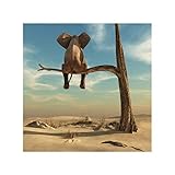 Poster und Drucke Leinwand Malerei Nordic Funny Elephant Sitting Tree Tier Bild Einfache quadratische Wandkunst Kid Room Decor-60x60cm No F