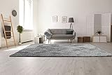 Webmeister Wohnzimmer Teppich - Weicher & pflegeleichter Teppich für Innenräume, Rechteckig - Größe: 60 x 100 cm, G