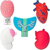 8GB*5 USB-Stick USB-Flash-Laufwerk, Memory Stick Cartoon Speicherstick Flash-Speicher-Stick, Pen Drive für Schule Büro Auto PC Laptop (8GB*5, Menschliche Organe)