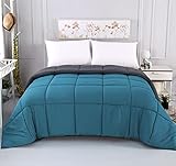 AYSW Ganzjahresdecke Steppdecke 220x240 cm, antiallergisch für Allergiker 100% Microfaser Öko Tex Standard Leichte Sommerdecke 180GSM Double Face Seeblau/G