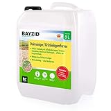 Höfer Chemie 5 L Bayzid® Steinreiniger/Grünbelag Entferner Konzentrat gegen Moos, Algen und Grünbelag