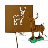 Pop Up Karte „Hirsch – Waidmannsheil“ - 3D Geburtstagskarte & Einladungskarte mit Umschlag & Hirsch Motiv - als Geschenk, Gutschein und Einladung zum Wandern, zur Jagd für Jäger & Fö