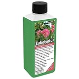 GREEN24 Eukalyptus Dünger NK-Flüssigdünger für Eucalypten wie Mostgummi-Eukalyptus, Blaugummi-Baum, Eukalyptus-Baum, Blauer Eukalyp