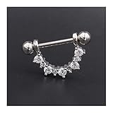 HMYDZ 1Pair Silber Rose Gold Farbe U-Form-Nippel-Piercing Schild Riegel Stahl Piercing Nippel-Piercing for Frauen Männer (Color : Silver)