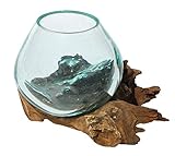 Balibarang-Shop Geschenk Deko Gamal Wurzelholz B-Ware Glasvase Ø Glas 10 cm Wurzel Holz Teakholz Vase Glas XS