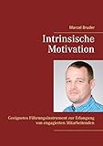 Intrinsische Motivation: Geeignetes Führungsinstrument zur Erlangung von engagierten Mitarb