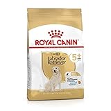 ROYAL CANIN Labrador Retriever Adult 5+ - 12 kg