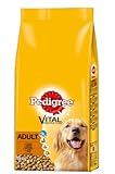 Pedigree Adult Hundefutter Geflügel, 1 Packung (1 x 15 kg)