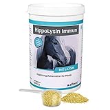 Alfavet - HippoLysin Immun Ergänzungsfuttermittel Pulver für Pferde, 1er Pack (1 x 1.14 kilograms)