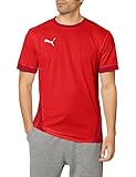PUMA Herren teamGOAL 23 Jersey T-Shirt, Red-Chili Pepper, L