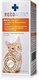 RECOACTIV® Nieren Tonicum für Katzen, 90 ml, Nahrungsmittelergänzung für nierenkranke Katzen sowie zur Prophylaxe, Stärkungsmittel zur Rekonvaleszenz bei N