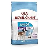 Royal Canin GIANT Junior 31 - 15 kg - H