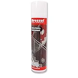 Brestol Edelstahl-Farbspray 400 ml Farbspray Edelstahllack Farblack Silberspray mit seidenmattem Glanz ideal für Ausbesserungsarb