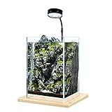 DALIZHAI777 Aquarium Desktop Kleiner Fischtank Landschaftsgestaltung DIY Wasserpflanze Tank Büro Home Desktop Kleine ökologische Fischtank Desktop Dekoration Fischg