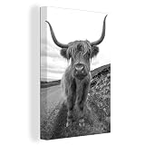 Leinwandbild - Nahaufnahme von schottischen Highlander auf einem grasbewachsenen Feld entlang der Straße - schwarz und weiß - 40x60