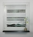 Klemmfix ohne Bohren Breite 50 cm Länge 200 cm Doppelrollo Duo Rollo Klemmfix ohne Bohren (weiß s, Ranken, 50)