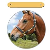 Pferdeschild mit Gravur - klein (außen gerundet) - für S