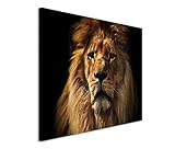 Bestforhome GmbH Modernes Bild 120x80cm Tierfotografie – Großer ausgewachsener Löw