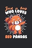 Roter Panda: Terminplaner 2022 Terminplaner A5 Terminplaner A5 2022 Kalender 2022 Terminplaner A5