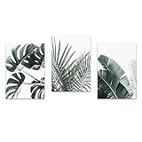 Leinwand Wandkunst Palm Leaf Poster Monstera Leinwand Malerei Nordic Wand Kunstdruck Pflanze Moderne Bild Für Wohnzimmer An Der Wand Wohnkultur/50x70cmx3 Ung