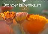 Oranger Blütentraum (Wandkalender 2022 DIN A4 quer)