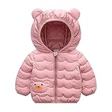 12 Months - 5 Years Toddler Baby Boy Girl Winter Thick Warm Jacket Zipper Hooded Windproof Coat Outwear Jacket (Pink, 12-18 Months)