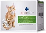 RECOACTIV Immun Tonicum für Katzen, 3 x 90 ml, Diät-Ergänzungsfuttermittel zur Immununterstützung und Vorbeugung bei Mangelerscheinungen, wirkungsvoller diätischer Appetitanreg