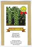 Rosenkohl - Groninger - 100 S