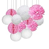 Miewoiey 12x Lampions Pom Poms Wabenbälle Dekoration Set für Hochzeit Feier Geburtstag Party