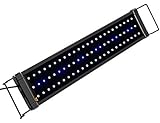 NICREW LED Aquarium Beleuchtung, Aquarium LED Lampe mit weißen und blauen LEDs für Süßwasser-Aquarien, 7000