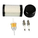 KLOVA Langlebiger Zündkerzensatz mit Luftfilter Ersetzt den Originalfilter Passend für 31 Vertical 13,5 PS bis 19,5 PS