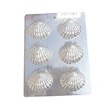 Martellato Polyethylen Sea Shell Schimmel, transp