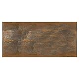 WEIDENPROFI Sichtschutz, Zaunmodul CORTEN-Stahl, Einsatz Rost-Optik, Größe (BxH): 120 x 60