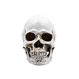 Pulabo kreativer Totenkopf-Kopf aus Kunstharz, künstlicher Schädelkopf, Halloween-Dekoration für Halloween, schreckliche Party, 1 Stück, praktisch und nützlich, ausgezeichnete Qualität und viel Spaß