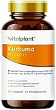 Vitalplant® Kurkuma Extrakt im Braunglaß - 440mg hochdosiertes Curcuma Extrakt 95% mit Piperin - 120 Kapseln veg