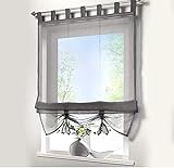 Antrect Raffrollo Raffgardinen Voile Transparent Vorhang mit Schlaufen, 140 x 155 cm(B x H)