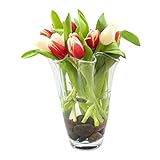 Glaskönig Vase aus Glas - Höhe 23cm Ø ca.15cm - Moderne Blumenvase als Tulpenvase in geschwungener Form - mundgeblasene Flower Vase im Vintage Design - Die Blumen Vase für den Frühling
