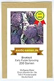 Brokkoli - Broccoli - für Winter- und Frühjahrsernte - Early Purple Sprouting - 200 S