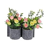 RESOYE Pflanztasche für den Garten, grau, zum Aufhängen, mit 2 Taschen, Wandbehang, Blumentopf, Tasche, Blumenbehälter für Garten, Heimdek