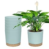 Zmtech Plant Pots, Set of 6 16.5cm Self Watering Plastic Planter with Drainage Hole and Saucer,Modern Decorative Flower Pot for Indoor Outdoor House Plants, Succulents, Flowers - G