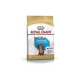 ROYAL CANIN Dachshund Junior 1,5 kg, 1er Pack (1 x 1.5 kg)