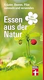 Essen aus der Natur: Früchte, Pilze, Wildkräuter - Erfolgreich verarbeiten - Vielfältige Rezepte - Mit Fotos und Sammelzeitkalender | von Stiftung W