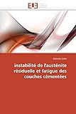 instabilité de l'austénite résiduelle et fatigue des couches cémentées (Omn.Univ.Europ.)