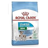 Royal Canin Starter M