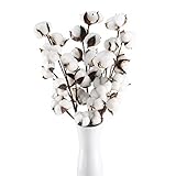 HUAESIN 3pcs Baumwolle Zweig 10 Köpfe Natürlich Getrocknete Blumen Künstliche Dekoblumen Weiss Kunstblumen Gefälschte Unechte Blumen für Vase Hochzeit Zimmer Cafe Dek