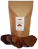 GARNELEN4YOU® Seemandelbaumblätter | hochwertiges Langzeitfuttermittel und Wasseraufbereitung durch wertvolle Inhaltsstoffe (40 Stück 10-12 cm)