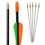 Bogenkönig Pfeile für Bogenschießen 5er Set aus Fiberglas mit Spitze Metal Kinder Bogen 28 Z