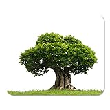 Mousepad Mat Bonsai Baum Garten Weiß Alte Blattform Farbe Wurzeln Asiatisch Mini Rechteck Mauspad Rutschfest Spiel Schreibtisch Computer Laptop Gummi Glatte Oberfläche Langlebig