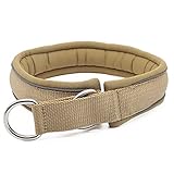 4 cm Hundehalsband mit weichem Schaumstoff, 2 Edelstahl-D-Schlaufen und Verschluss, 2 Sicherheits-Reflektorstreifen, weiches schnelltrocknendes Neoprenfutter, strapazierfähiges Nylon (Khaki, M)