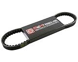 Keilriemen - REX Imola 50